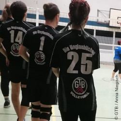 Volleyball